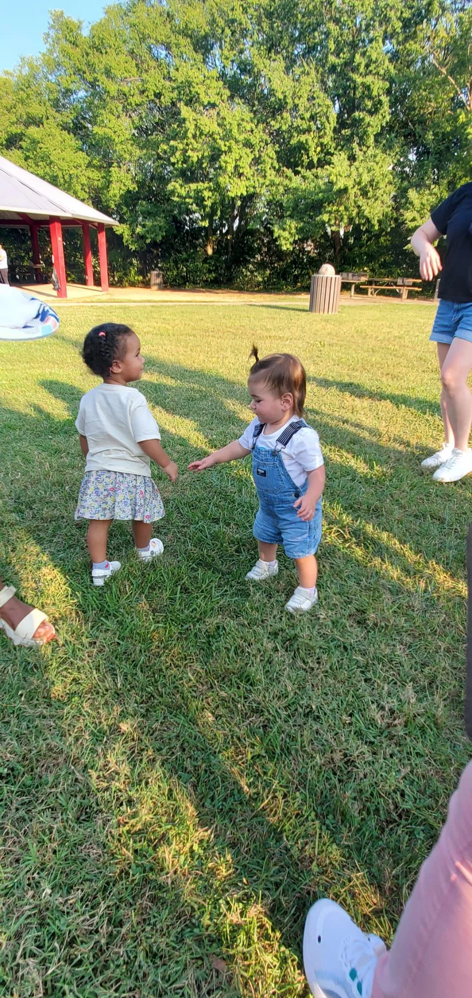 Reston Montessori School Picnic image 5