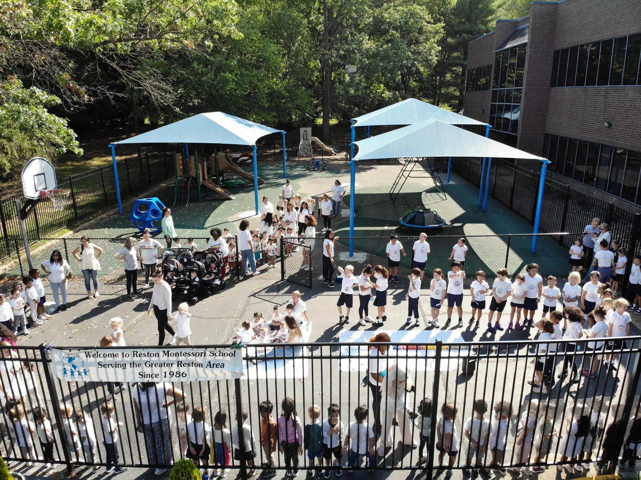 Reston Montessori school Peace Day celebration image