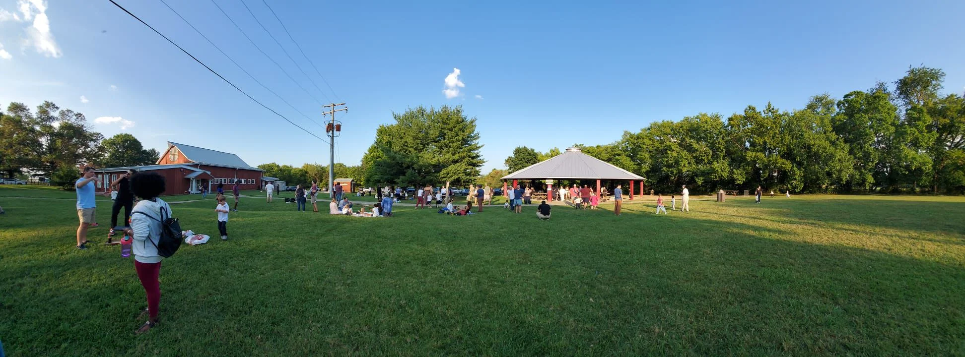 Reston Montessori School Picnic image 1