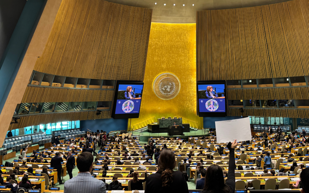 Montessori Model United Nations Conference image