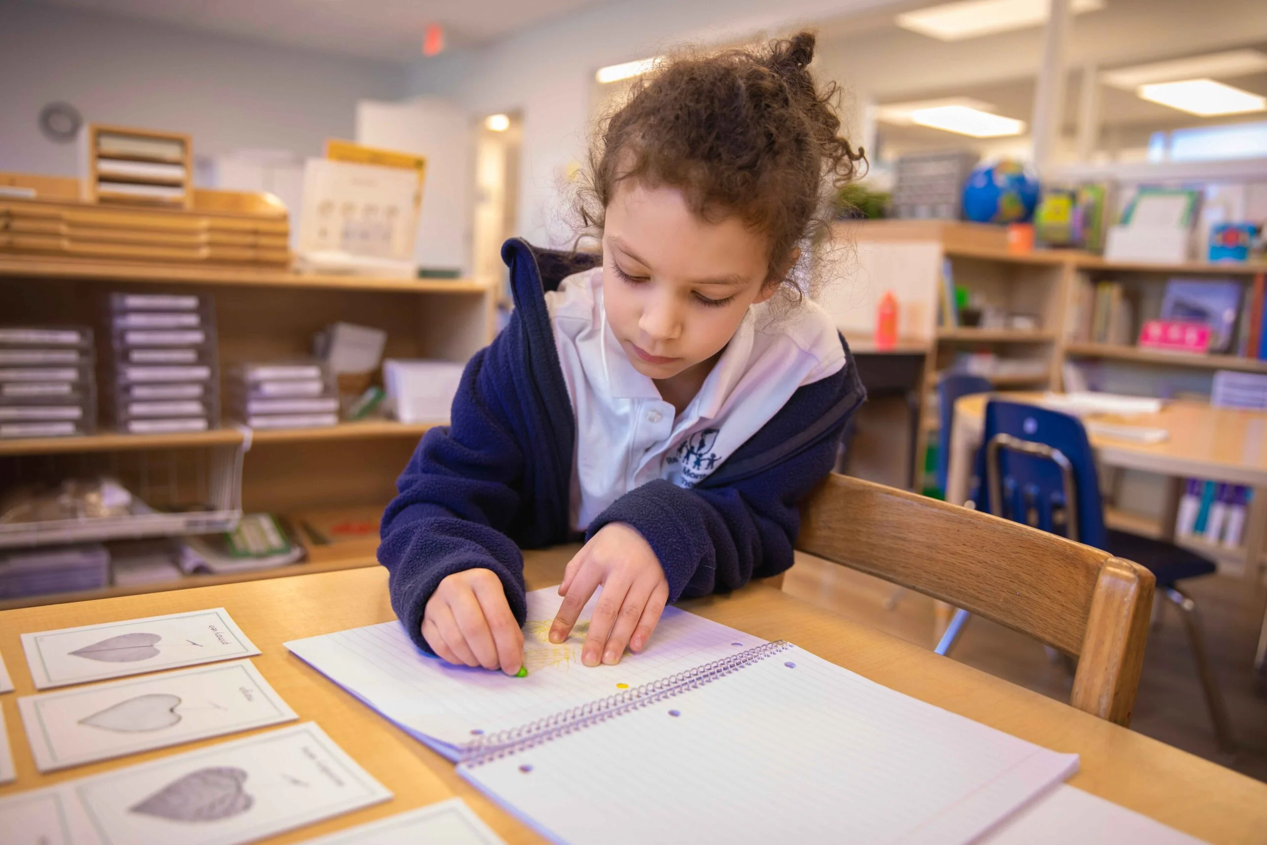 Lower Elementary Image