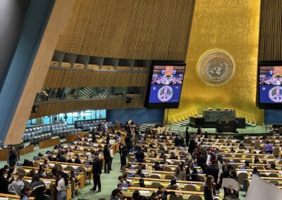MMUN Image