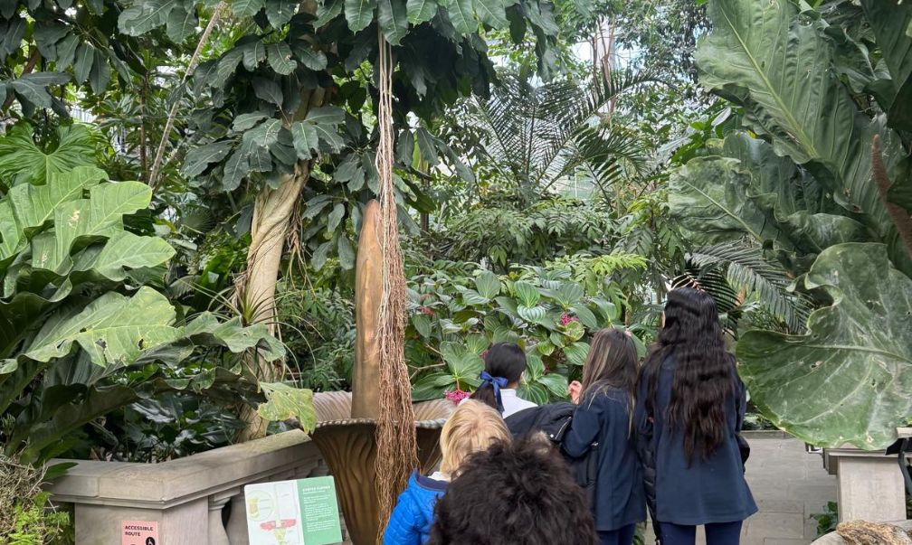 Reston Montessori Middle School - field studies image