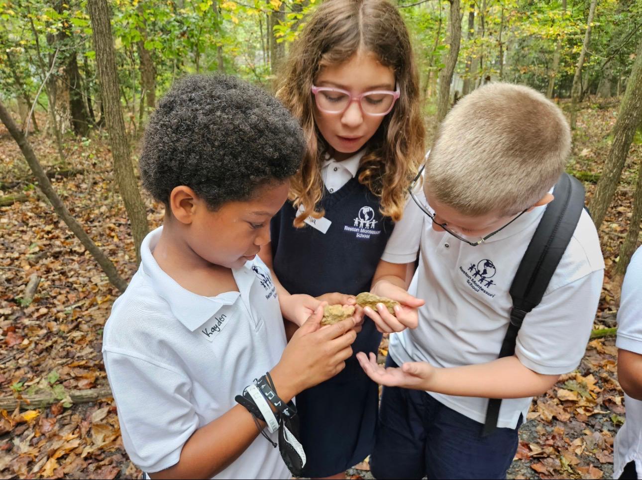 powerful partnerships image