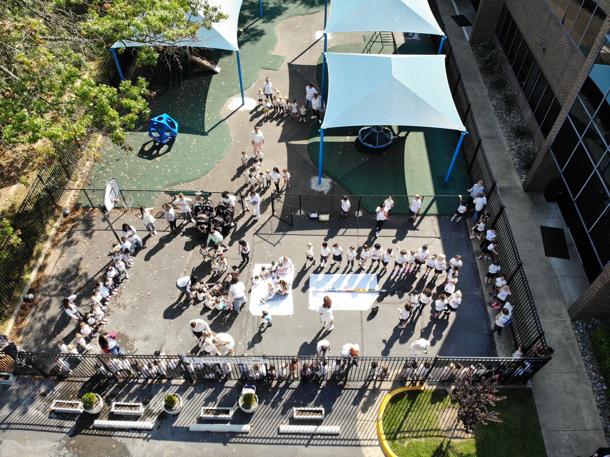Peace Day(2024-Pic1)